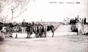 Palissy - Abreuvoir - 1915